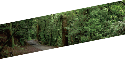 春日奥山コース