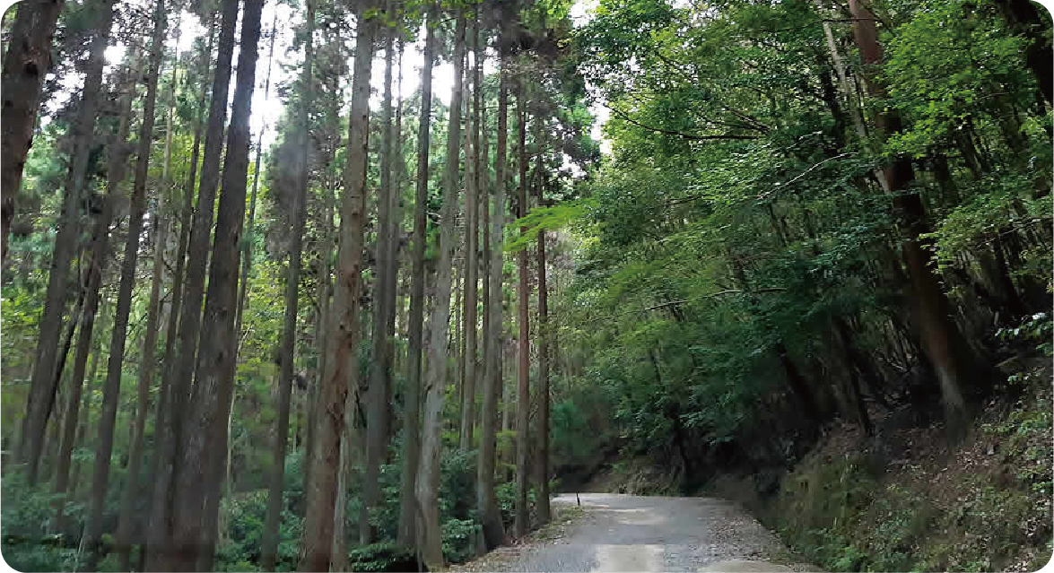 イメージ1