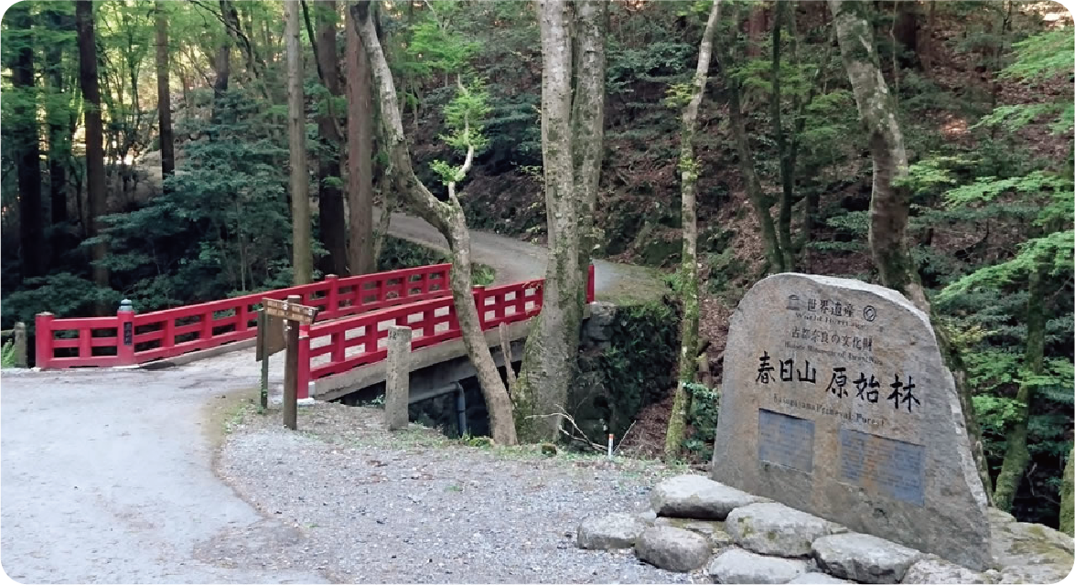 イメージ1