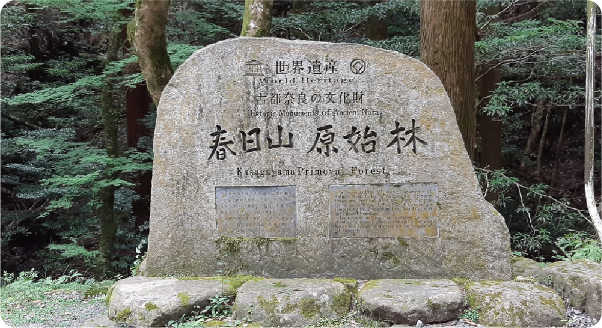 イメージ1