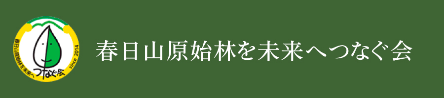 春日山原始林を未来へつなぐ会