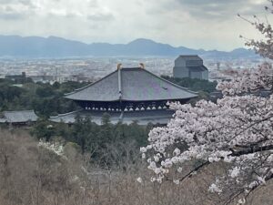 3月31日　東大寺ビューポイント