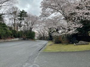 3月31日　新若草山コース