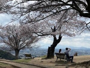 3月31日若草山頂