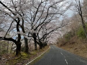 3月31日高円山コース